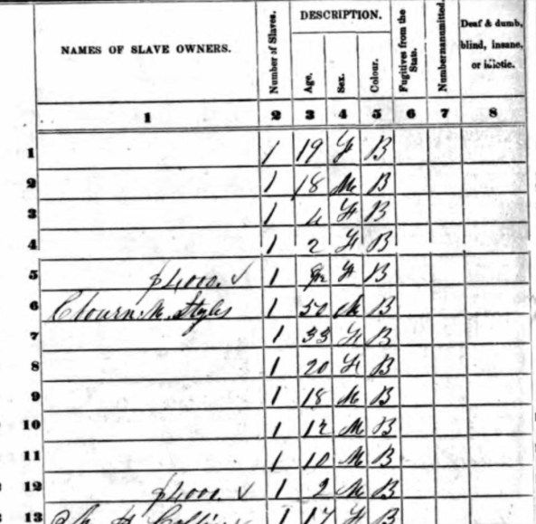 1850 U.S. Federal Census Lave Schedule Campbell County, GA